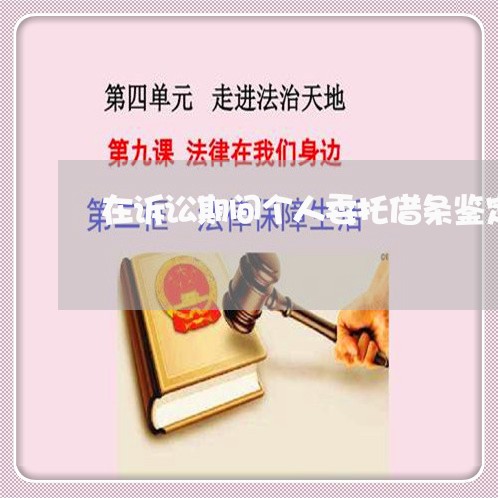 在诉讼期间个人委托借条鉴定