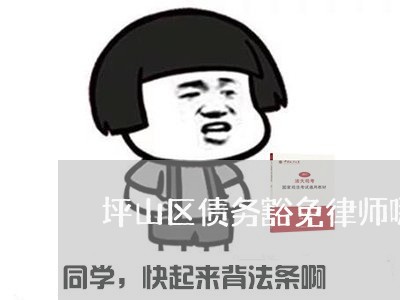 坪山区债务豁免律师哪个好