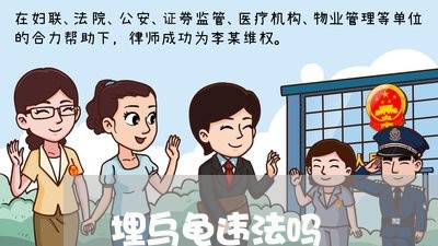 埋乌龟违法吗 埋乌龟违法吗