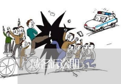 域名诉讼期