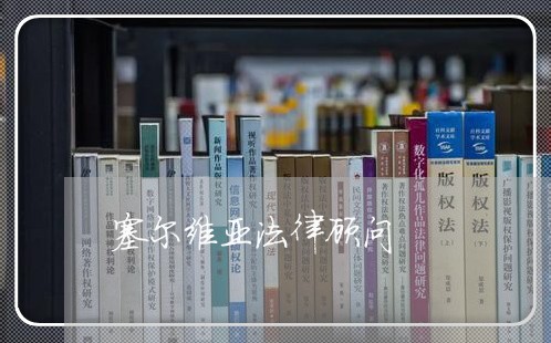 塞尔维亚法律顾问/2023061752935 塞尔维亚法律顾问/2023061752935