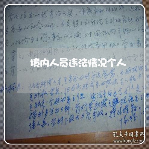 境内人员违法情况个人