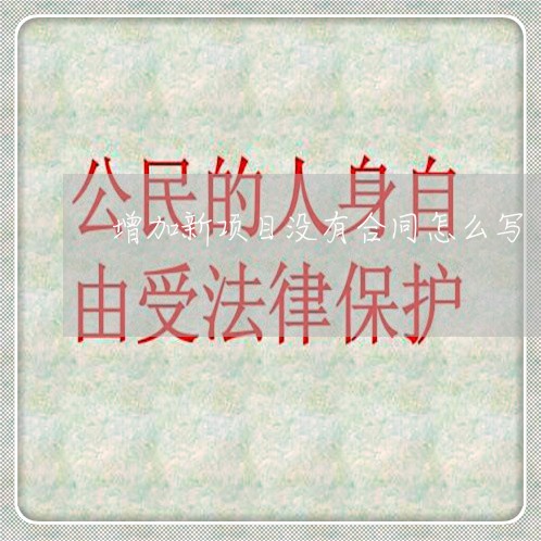 增加新项目没有合同怎么写/2023011627151