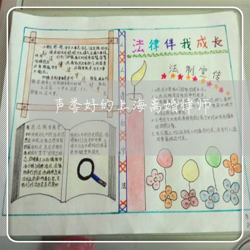 声誉好的上海离婚律师/2023042416938