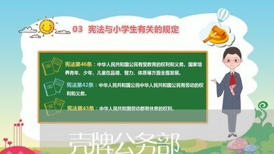 壳牌公务部
