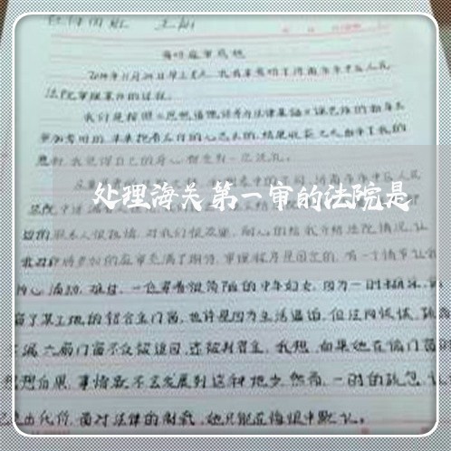 处理海关第一审的法院是 处理海关第一审的法院是