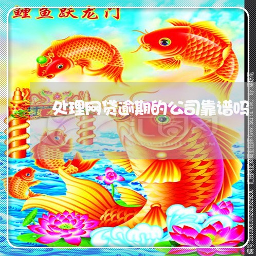 处理网贷逾期的公司靠谱吗/2023120559280