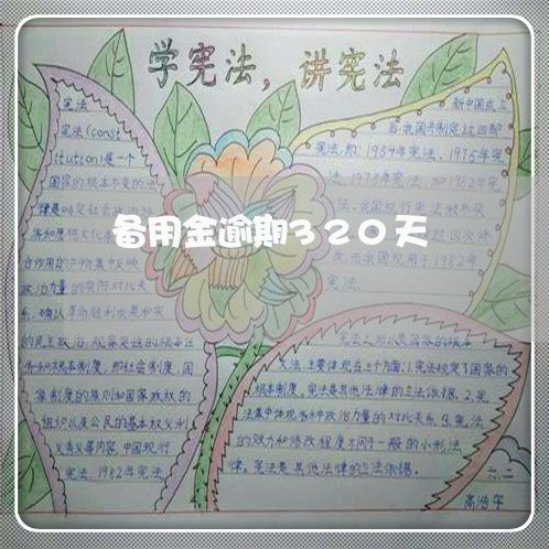 备用金逾期320天 备用金逾期320天