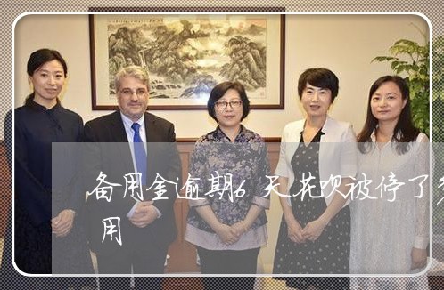 备用金逾期6天花呗被停了多久可以重新使用