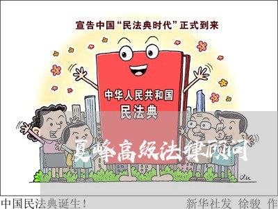 夏峰高级法律顾问