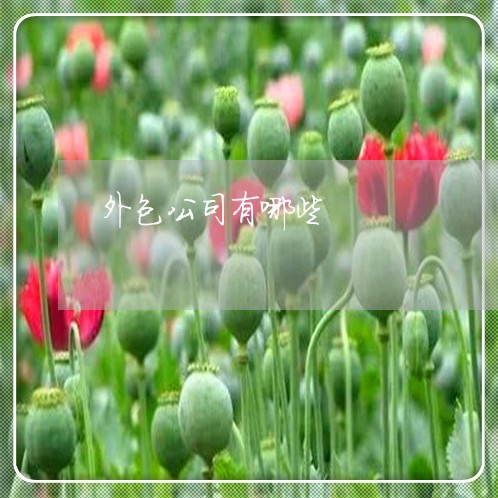 外包公司有哪些