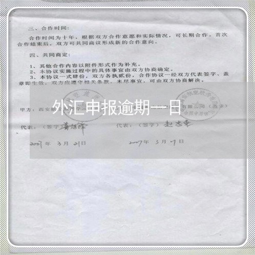 外汇申报逾期一日