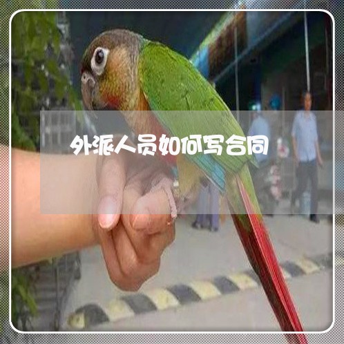 外派人员如何写合同 外派人员如何写合同