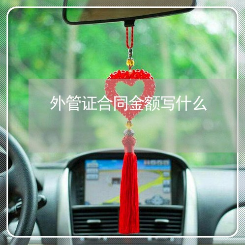 外管证合同金额写什么/2023022651525