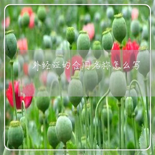 外经证的合同名称怎么写/2023041662603