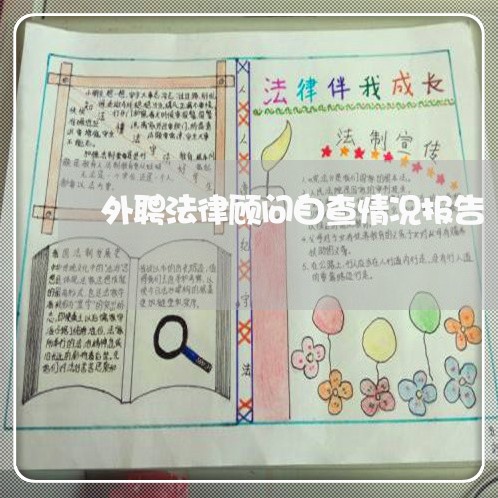 外聘法律顾问自查情况报告/2023061849470