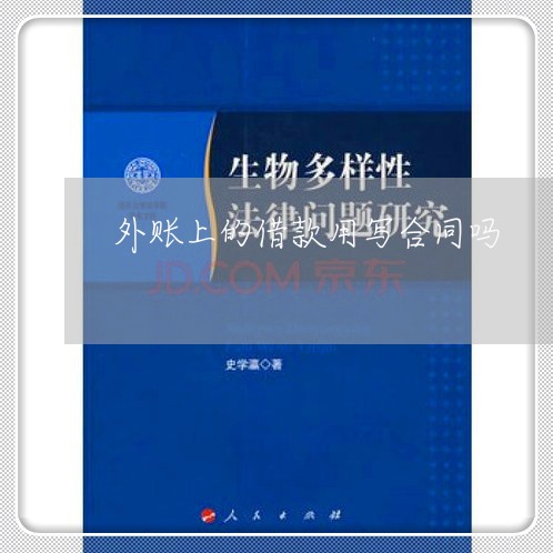 外账上的借款用写合同吗/2023041473036 外账上的借款用写合同吗/2023041473036