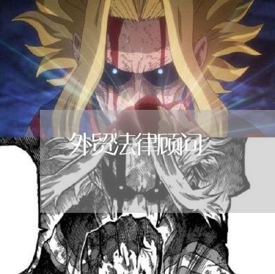 外贸法律顾问/2023061682827 外贸法律顾问/2023061682827