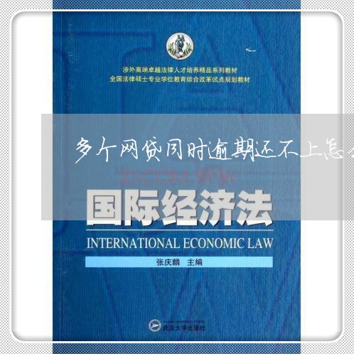 多个网贷同时逾期还不上怎么办