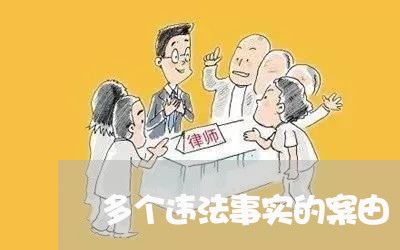 多个违法事实的案由