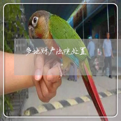 多地财产法院处置 多地财产法院处置