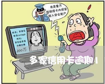 多家信用卡逾期11万左右