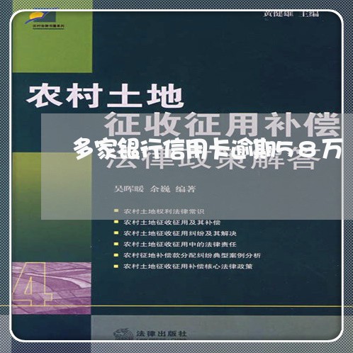 多家银行信用卡逾期58万