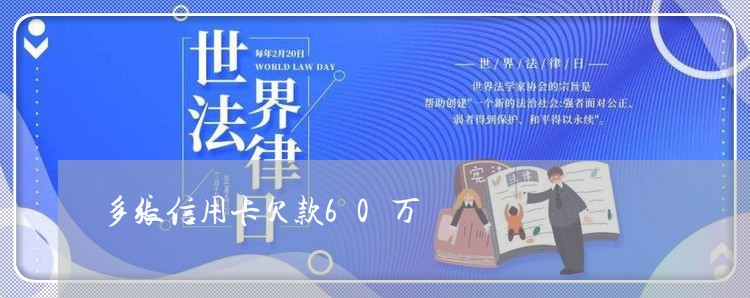 多张信用卡欠款60万/2023022455368