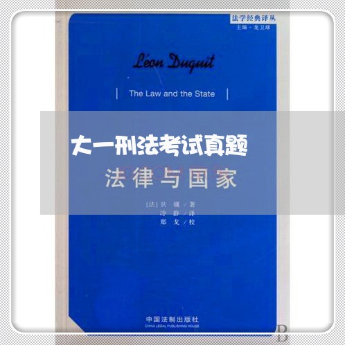 大一刑法考试真题