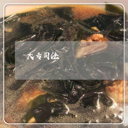 大专司法