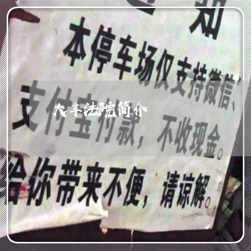 大丰法院简介