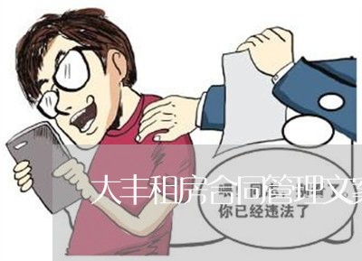 大丰租房合同管理文案怎么写/2023022786261
