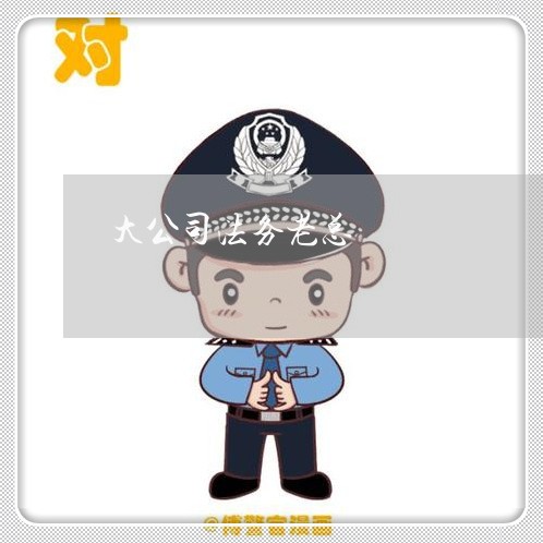 大公司法务老总 大公司法务老总