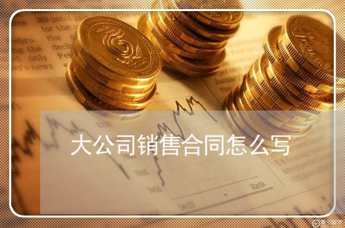 大公司销售合同怎么写/2023022688685 大公司销售合同怎么写/2023022688685