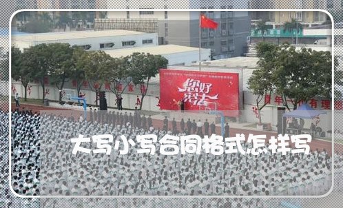大写小写合同格式怎样写/2023042240392