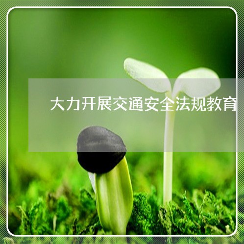 大力开展交通安全法规教育 大力开展交通安全法规教育