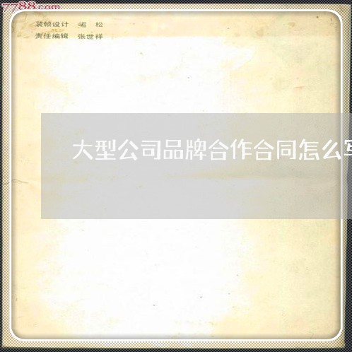 大型公司品牌合作合同怎么写/2023040374957 大型公司品牌合作合同怎么写/2023040374957