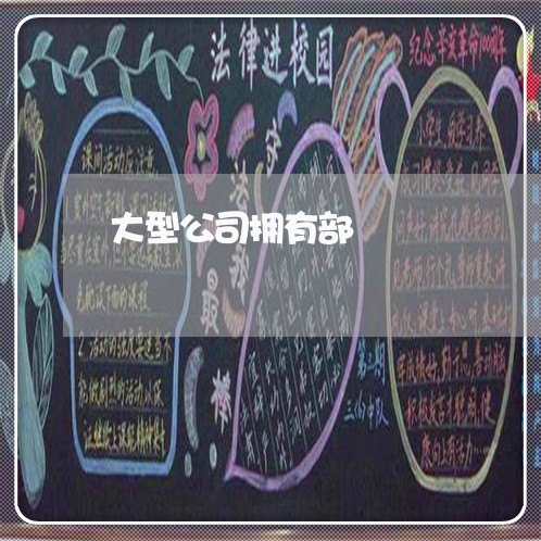 大型公司拥有部