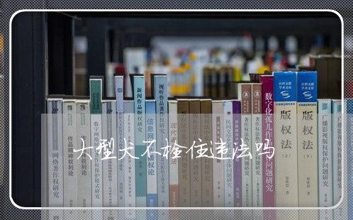大型犬不栓住违法吗