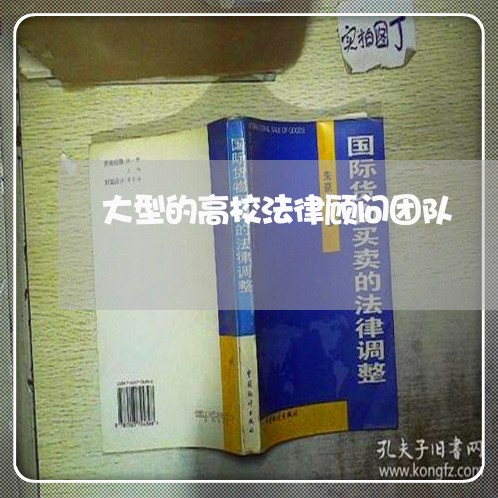 大型的高校法律顾问团队/2023061873693 大型的高校法律顾问团队/2023061873693