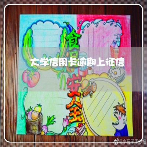 大学信用卡逾期上征信/2023061628062