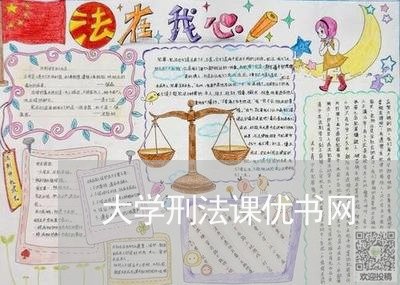 大学刑法课优书网