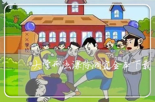 大学刑法课陈湘宜全本下载