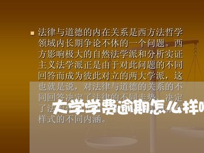 大学学费逾期怎么样啊 大学学费逾期怎么样啊
