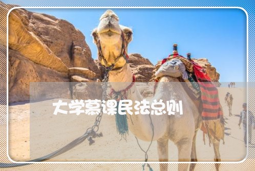 大学慕课民法总则