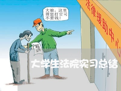 大学生法院实习总结