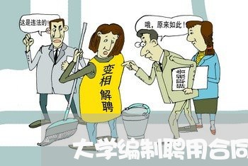 大学编制聘用合同书怎么写/2023041308471