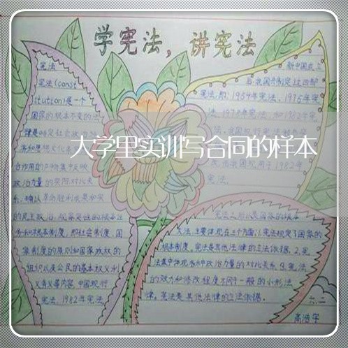 大学里实训写合同的样本/2023041640795
