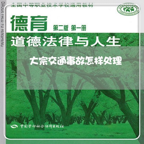 大宗交通事故怎样处理/2023042453606