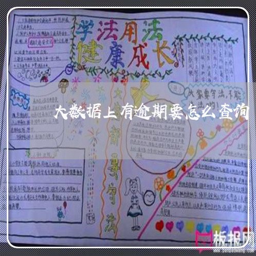 大数据上有逾期要怎么查询